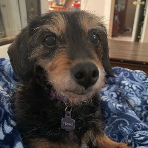 Meet your Posher, Therese